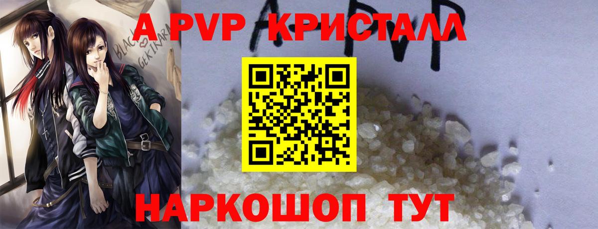 Альфа ПВП СК КРИС Ржев