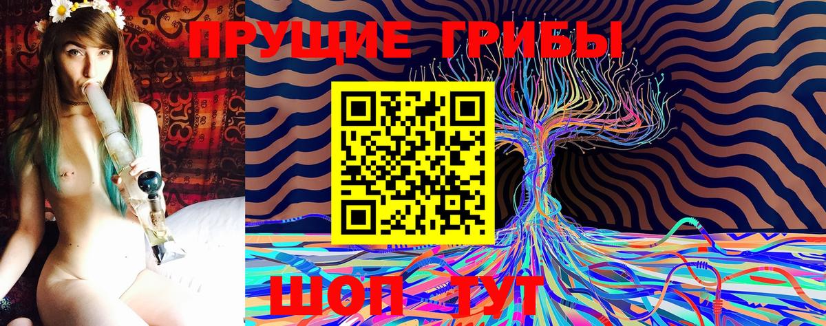 Псилоцибиновые грибы мицелий  Псилоцибиновые грибы MAGIC MUSHROOMS  Вход с VPN  Ржев 