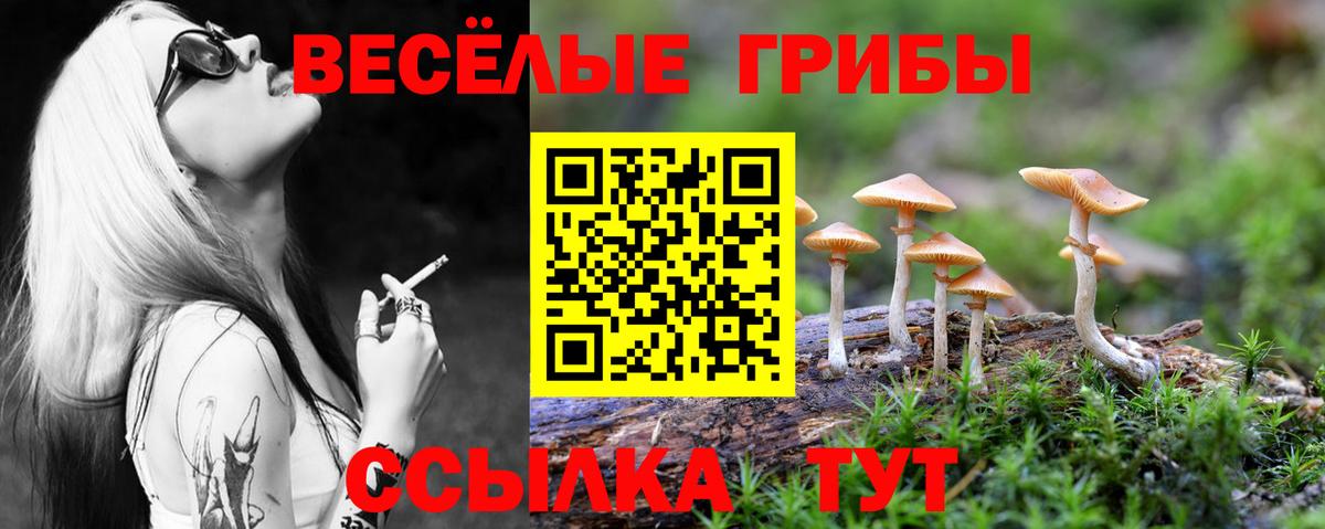 Alpha PVP Ржев
